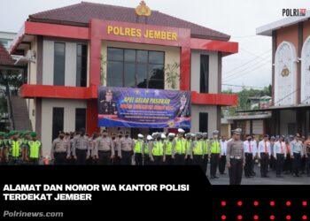 Alamat dan Nomor Wa Kantor Polisi Terdekat Jember