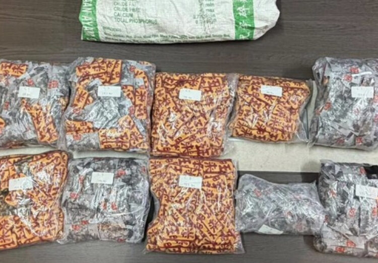 Bareskrim Tangkap 3 Kurir Narkoba di Riau, 1.400 Vape Narkoba Disita